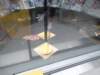zdj484_small.jpg